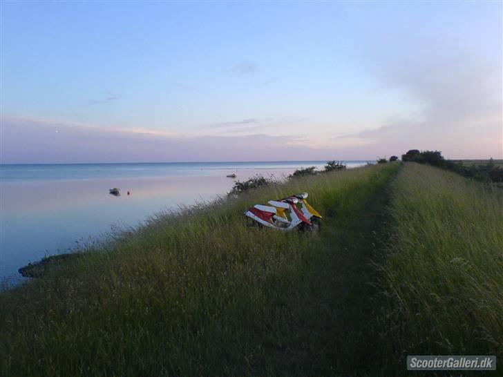 Yamaha ¬ » Jog FS - SOLGT! - Mig og min fætter´s på skovtur billede 8