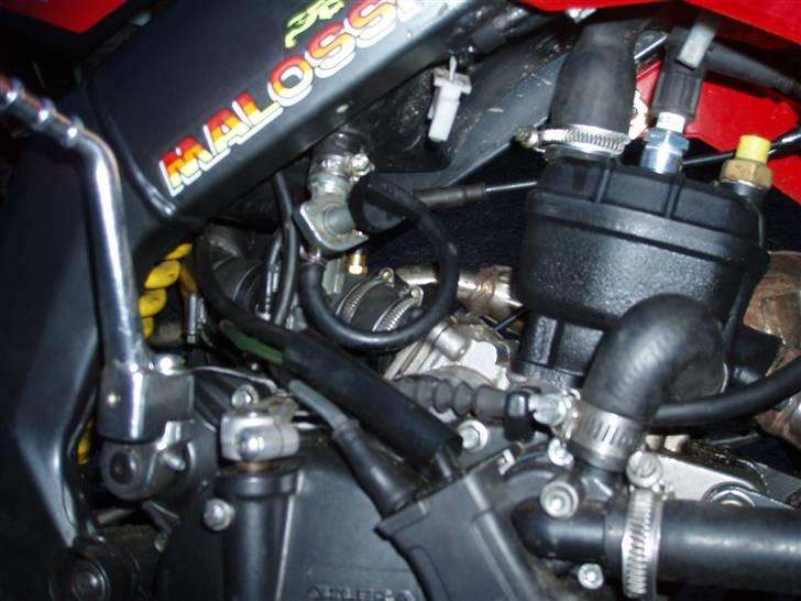 Gilera SMT - The wild thing billede 6