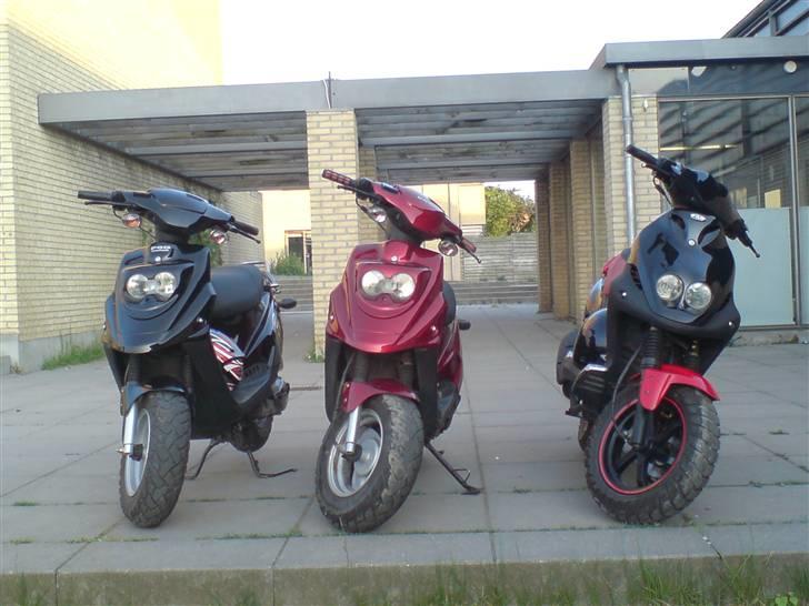 PGO pmx sport solgt billede 7