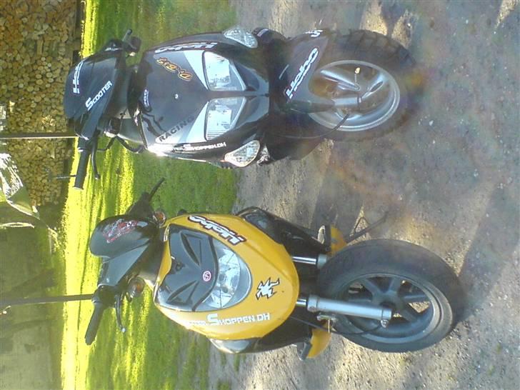 PGO Dr.Big Sort ( projektet ) billede 1