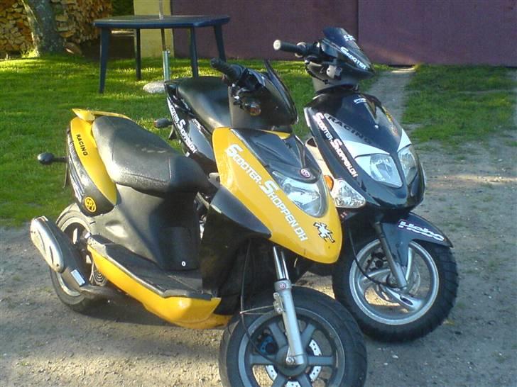 PGO Dr.Big Sort ( projektet ) billede 2