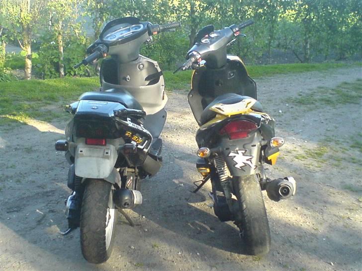 PGO Dr.Big Sort ( projektet ) billede 3