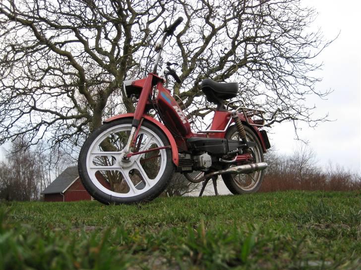 KTM Foxi  billede 4