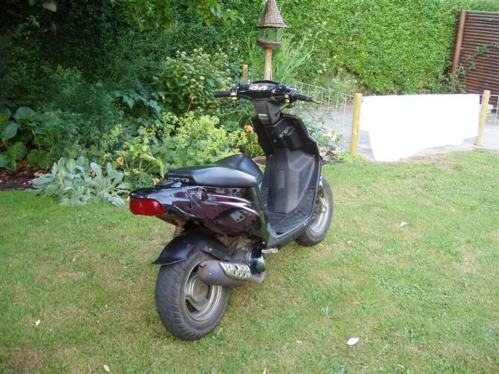 PGO HOT 50(Solgt) billede 16