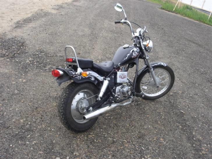 Regal raptor  billede 7