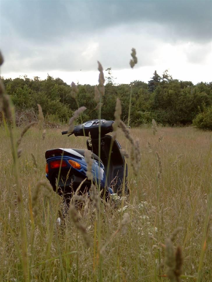 Piaggio NRG mc³ sport (s) billede 12