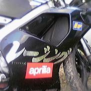 Aprilia RS 50 SOLGT