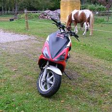 Benelli 491ST - Solgt 