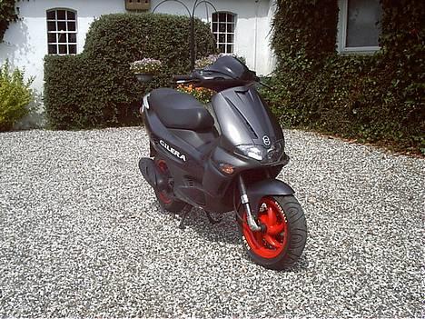 Gilera    Runner ( nye billeder) billede 2