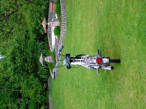 Puch maxi billede 3