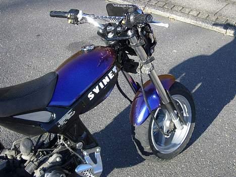 Suzuki street magic! billede 8