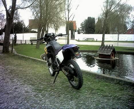 Suzuki rmx - efter renovertionen billede 1