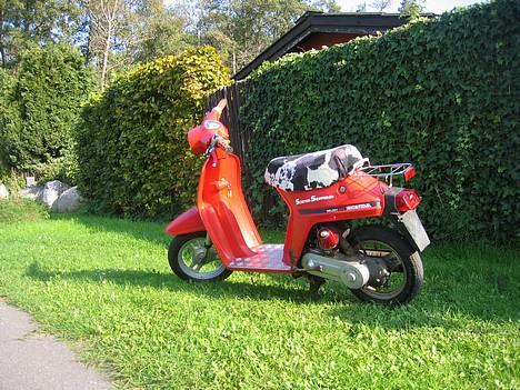 Honda Melody Mini NT50 billede 3