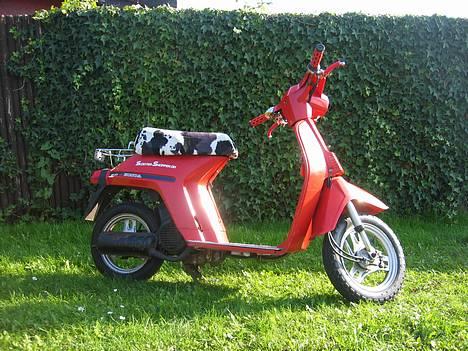 Honda Melody Mini NT50 billede 4
