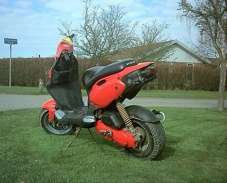 PGO Pmx Sport - Fræk men nymalet.. billede 2