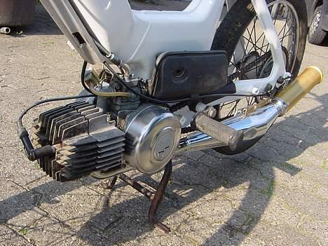 Puch Maxi *Stjålet :<* billede 3
