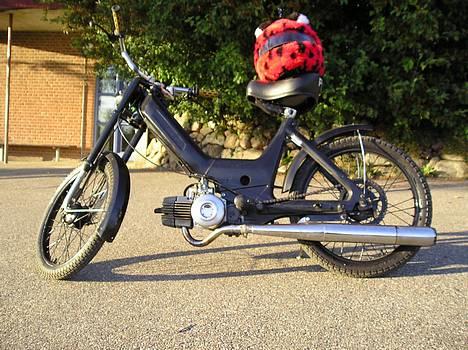 Puch maxi - FØR! billede 2