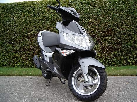 PGO   G-Max 50 billede 9