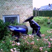 Aprilia Sonic (solgt)