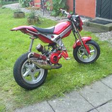 Suzuki Street Magic SOLGT