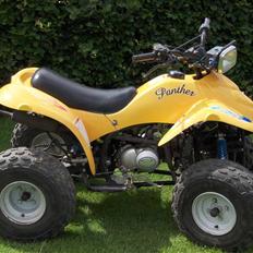Suzuki Panther 100cc <Stjålet>