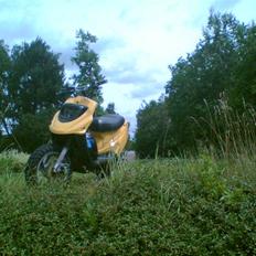 PGO hot 50 BYTTE TIL SONIC