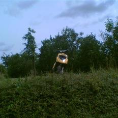 PGO hot 50 BYTTE TIL SONIC