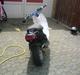 PGO Hot50