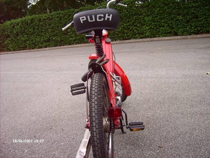 Puch Maxi P billede 6