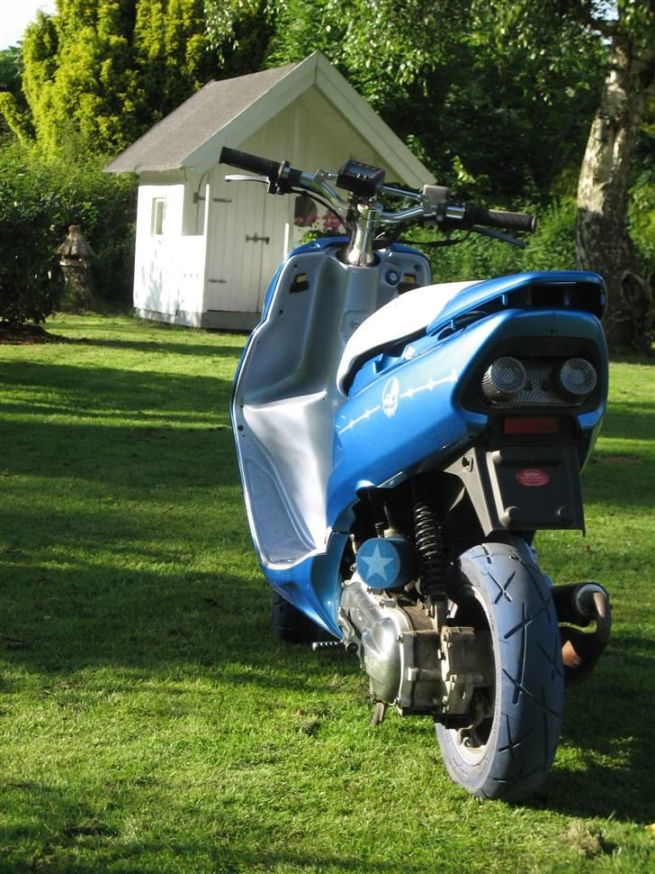 Honda SFX billede 12