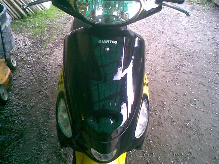 Giantco sprnit død billede 3