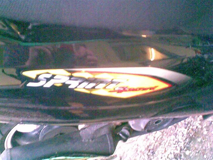 Giantco sprnit død billede 5