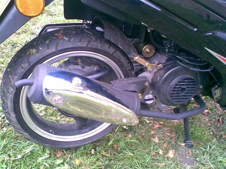 Giantco sprnit død billede 10