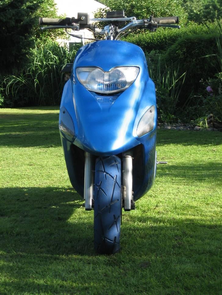 Honda SFX billede 15