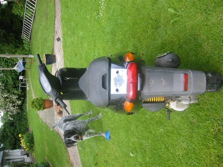 Piaggio typhoon soldt billede 4