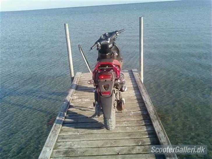 PGO PMX - Solgt billede 3