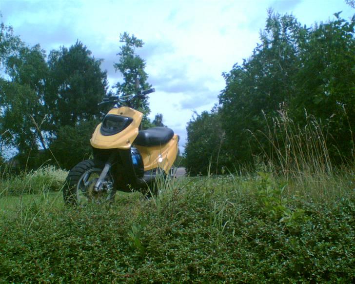 PGO hot 50 BYTTE TIL SONIC billede 1