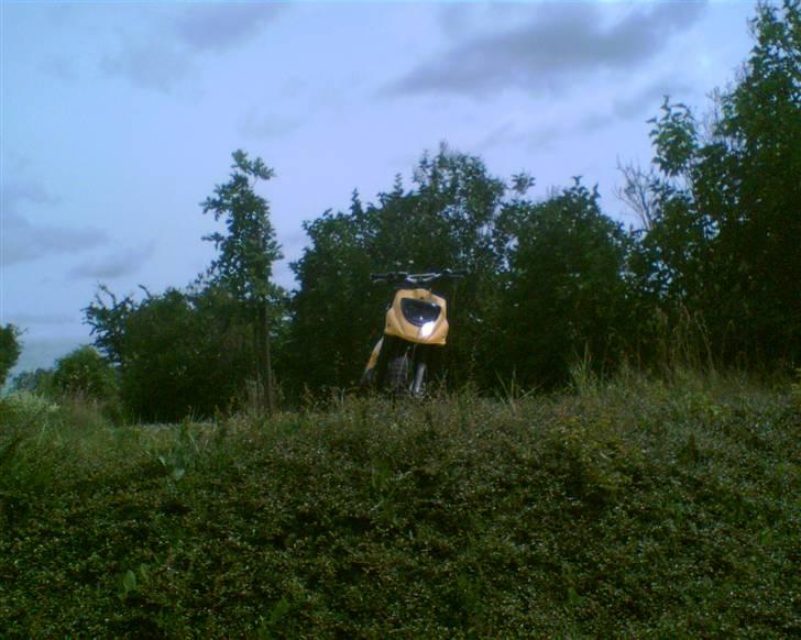 PGO hot 50 BYTTE TIL SONIC billede 3