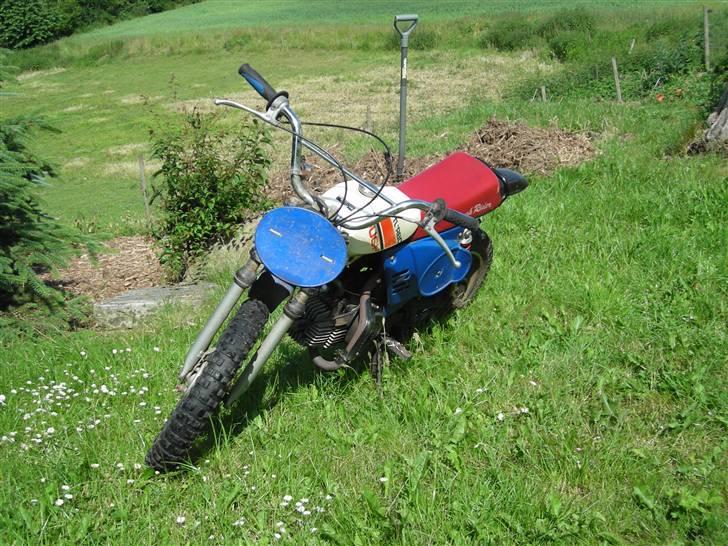 Puch puch magnum billede 2