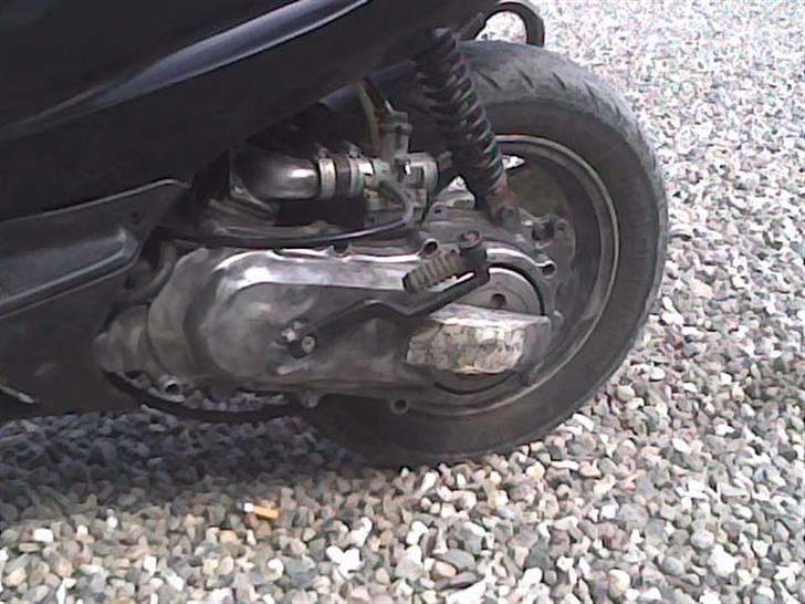 Honda SFX billede 12