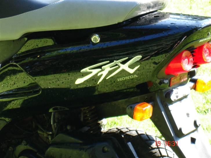 Honda SFX billede 5