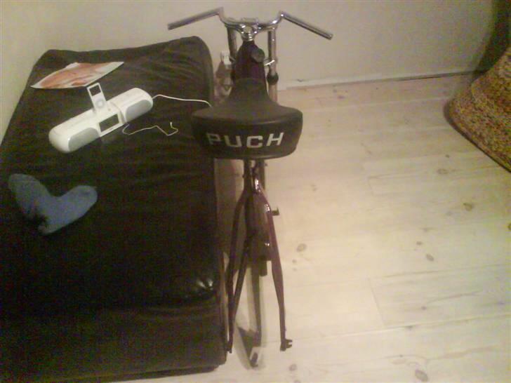 Puch maxi k (større projekt) billede 6