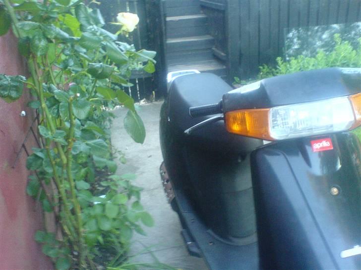 Aprilia amico  billede 7