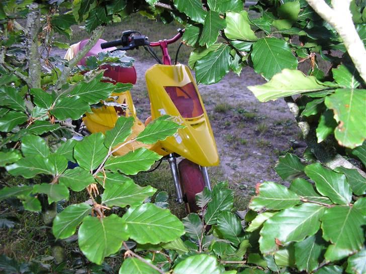 Malaguti jog evo 2 lc byttet billede 15