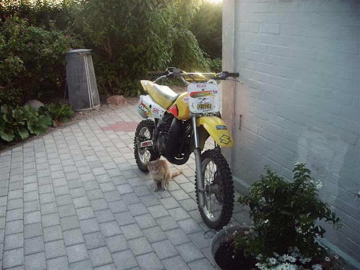 Suzuki Rm 80 (SOLGT) - Lige et billede, en dejlig dag, lige efter jeg har været ude og køre. billede 1