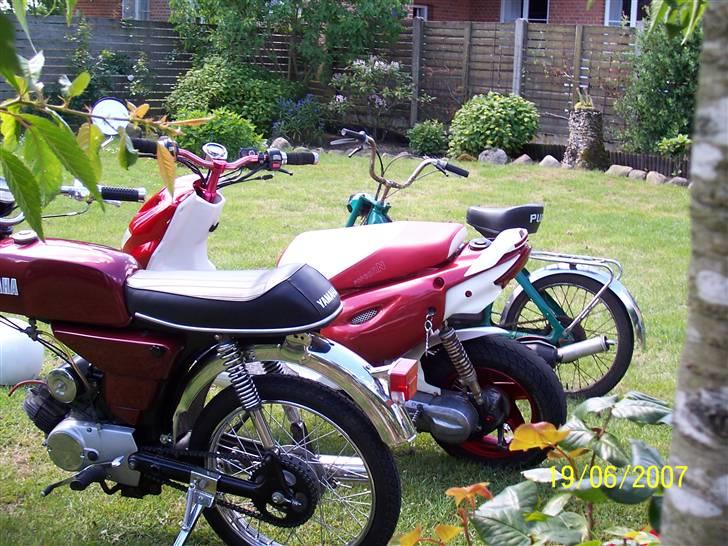 CPI Popcorn Solgt billede 6