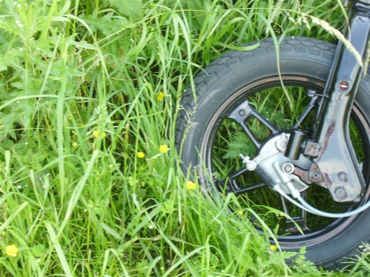 Suzuki FZ50 billede 11