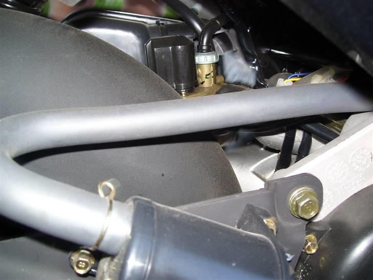 PGO black magic billede 6