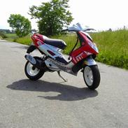 Peugeot Speedfight Rally Victory