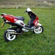 Peugeot Speedfight Rally Victory